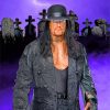 WWE The Undertaker paint by numbers