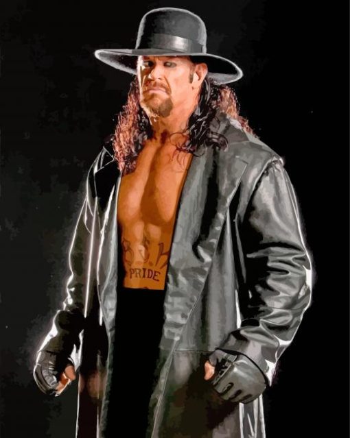 The Undertaker Super Star paint by numbers
