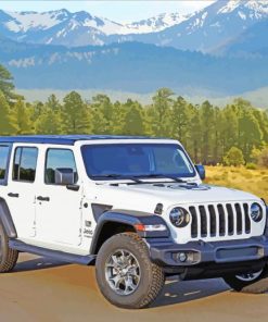 White Jeep Sahara Car paint by numbers