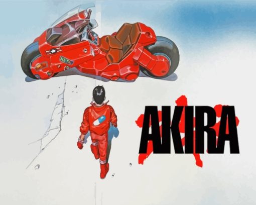 Akira Character paint by numbers