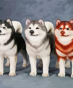 Alaskan Malamute Dogs paint by numbers
