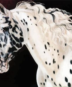 Appaloosa Horse Head paint by numbers