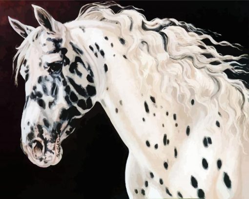 Appaloosa Horse Head paint by numbers