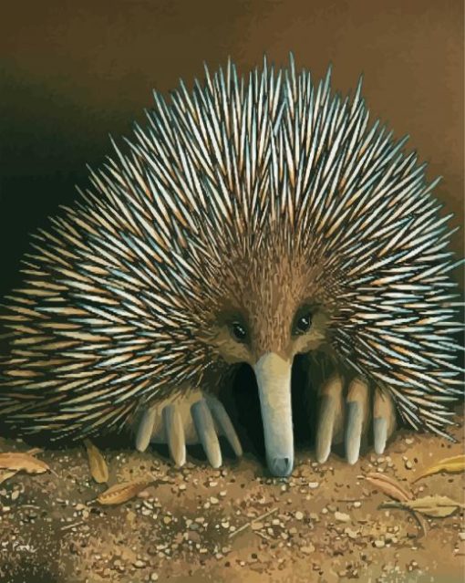 Australian Echidna Animal paint by numbers