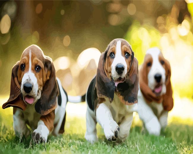 Adorable Basset Hound Puppies paint by numbers