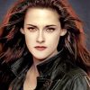 Bella Swan Character paint by numbers
