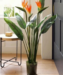 Bird Of Paradise In Pot paint by numbers