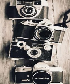 Black And White Camera paint by numbers