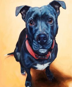 Black Staffordshire Bull Terrier paint by numbers