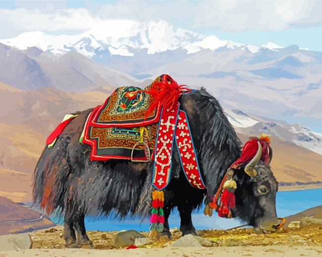 Black Himalayan Yak paint by numbers