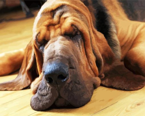 Cute Bloodhound Sleeping paint by numbers