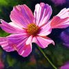 Blooming Pink Cosmos paint by numbers