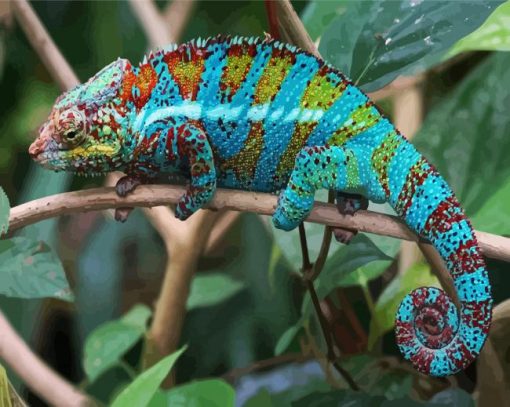 Blue Tropical Chameleon paint by numbers