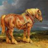Brown Shire Horse Art paint by numbers
