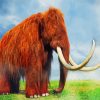 Brown Mammoth Animal paint by numbers