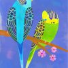 Budgies Birds Art paint by Numbers