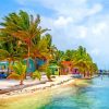 Caye Caulker Island paint by numbers