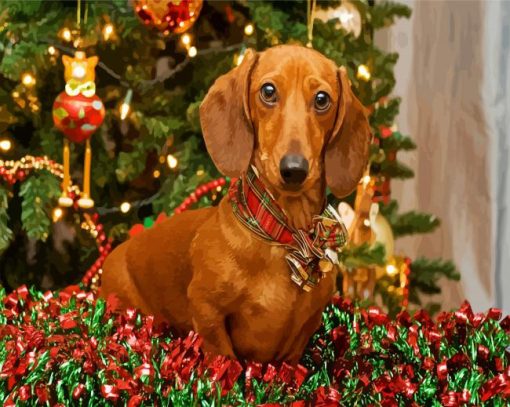 Christmas Dachshund Dog paint by numbers