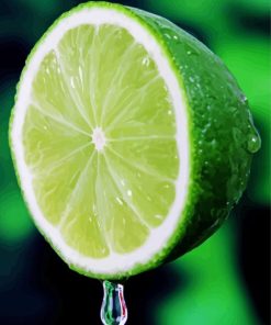 Citrus Lime Fruit paint by numbers