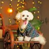 Classy Bichon Dog paint by numbers