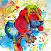 Colorful Basset Hound paint by numbers