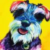 Colorful Schnauzer paint by numbers
