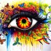 Colorful Splash Eye paint by numbers