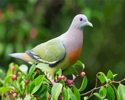 Columbidae Dove paint by numbers