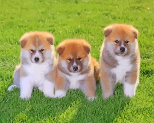 Cute Akita Puppies Dogs paint by numbers