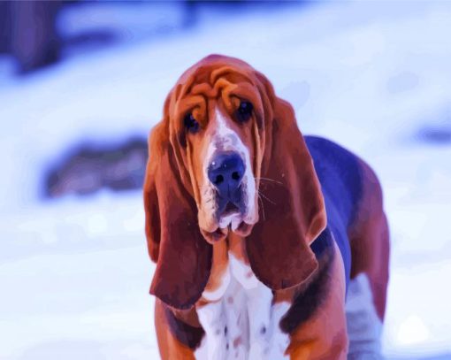 Bloodhound In Snow paint by numbers
