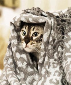 Cute Cat With A Blanket paint by numbers