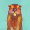Cute Beaver Animal paint by numbers