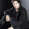 Damon Salvatore paint by numbers