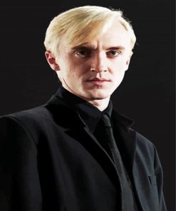 Draco Malfoy Character paint by numbers