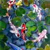 Cute Koi Fishes paint by numbers