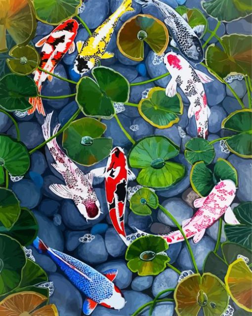 Cute Koi Fishes paint by numbers
