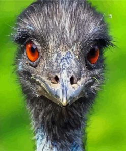 Emu Bird Head paint by numbers