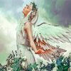 Fantasy Angel Lady paint by numbers