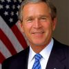 President George Walker Bush paint by numbers
