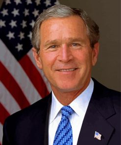 President George Walker Bush paint by numbers