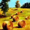Aesthetics Golden Bales paint by numbers