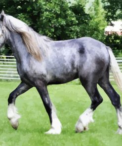 Grey Shire Horse paint by number