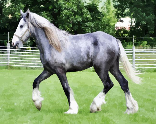 Grey Shire Horse paint by number