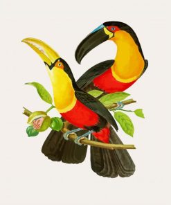 Hornbill Birds On Branch paint by numbers