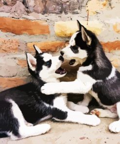 Aesthetics Husky Puppies paint by numbers