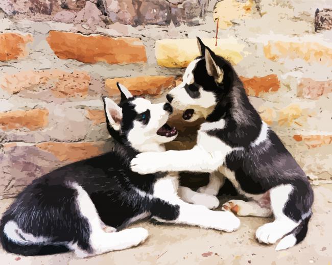 Aesthetics Husky Puppies paint by numbers