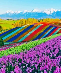 Landscape Hokkaido Island paint by numbers