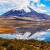 Lauca National Park paint by numbers