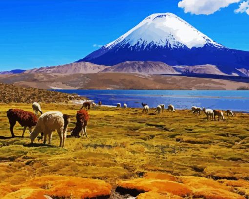 Lauca National Park Chile paint by numbers