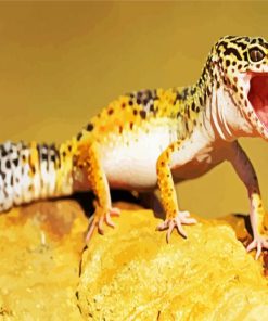 Angry Leopard Gecko paint by numbers
